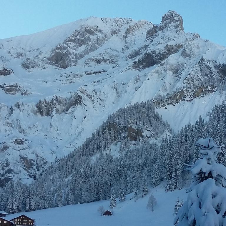 Villa Bunderbach Adelboden Exterior foto
